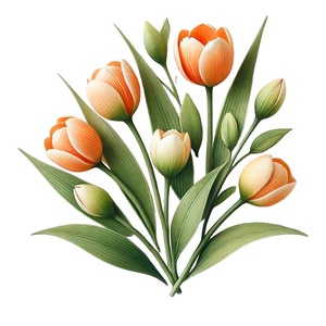 Birth Flower-February